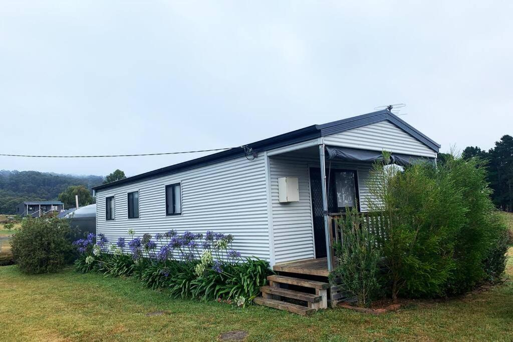 Beach Cottage - Port Arthur Extérieur photo